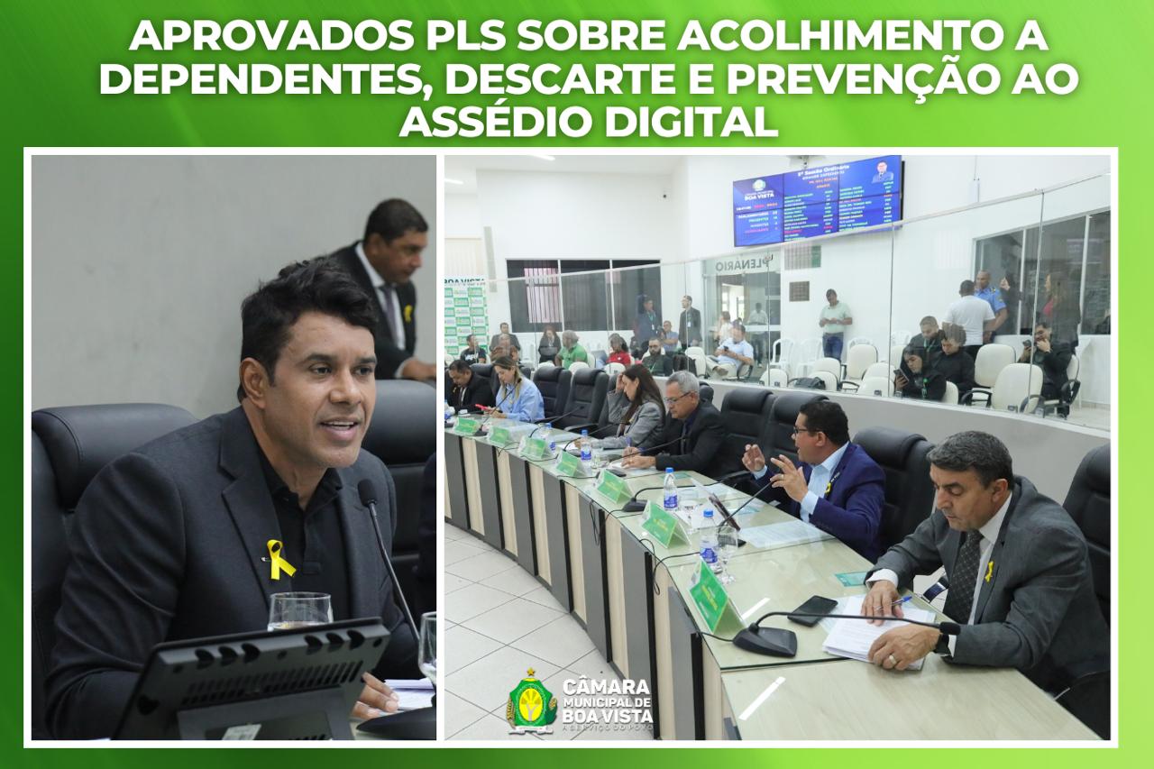 Aprovados PLs sobre acolhimento a dependentes químicos, descarte de corpos de animais e prevenção ao assédio digital