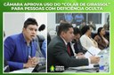 Câmara aprova uso do “Colar de Girassol” para pessoas com deficiência oculta