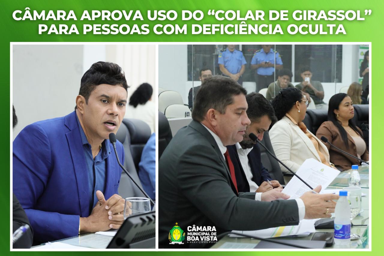 Câmara aprova uso do “Colar de Girassol” para pessoas com deficiência oculta