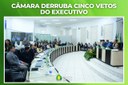 Câmara derruba cinco vetos do Executivo