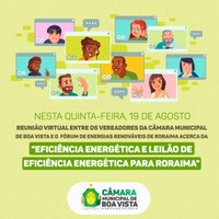 Eficiência Energética e Leilão de Eficiência Energética para Roraima