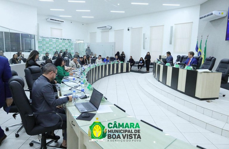 Vereadores aprovam nove projetos nesta terça-feira