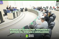 Vereadores aprovam projetos que fortalecem proteção a crianças e adolescentes
